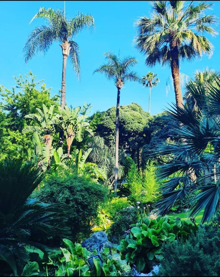 Home For 2 Few Steps From Casino Monte Carlo And Beach بوزولي المظهر الخارجي الصورة